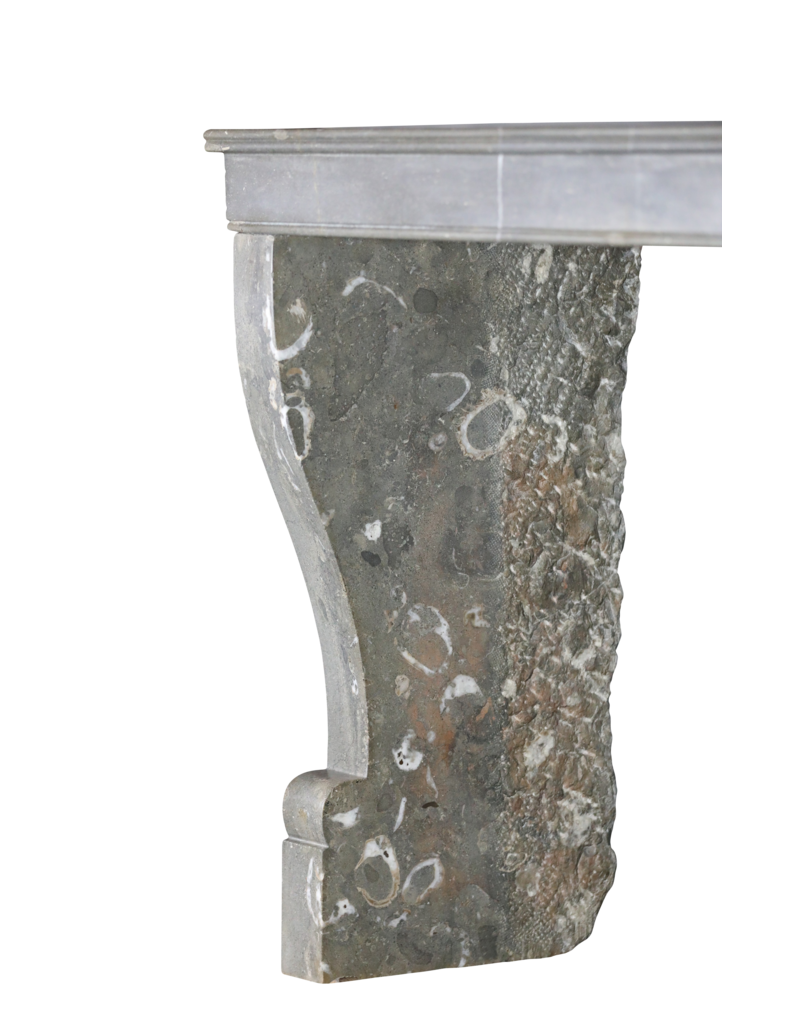Maison Leon Van den Bogaert Elegante Chimenea De Piedra Gris