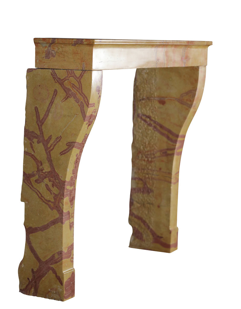 Maison Leon Van den Bogaert Elegante Chimenea De Piedra Decorativa Atemporal