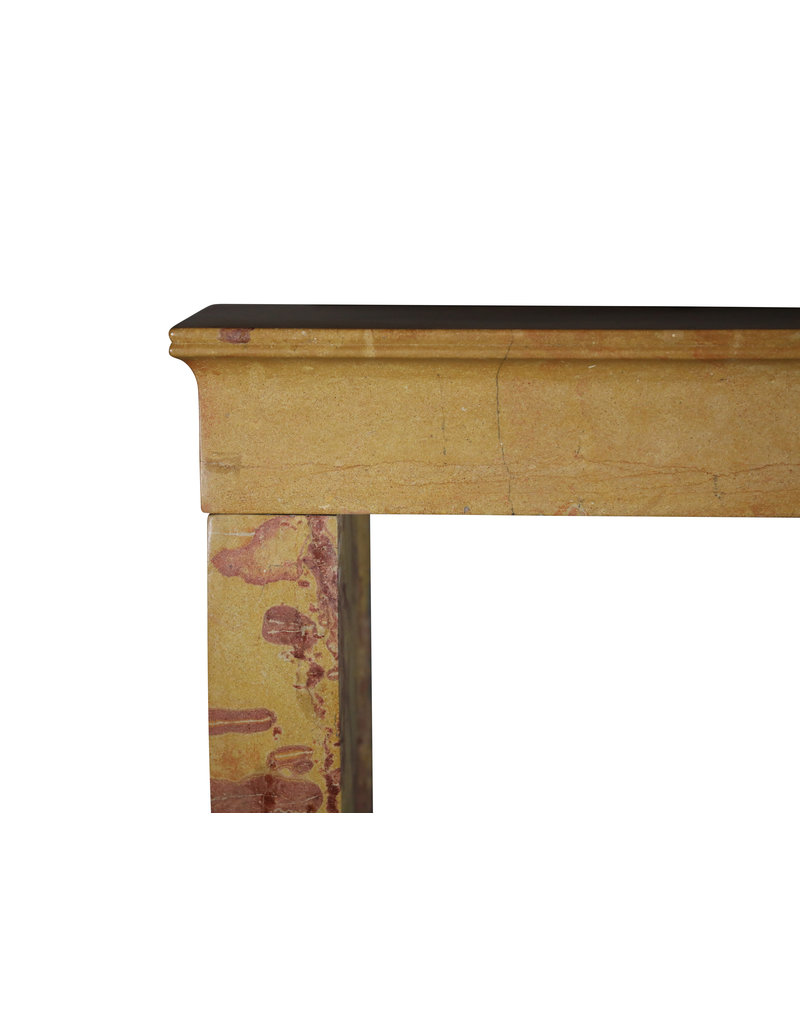 Maison Leon Van den Bogaert Elegante Chimenea De Piedra Decorativa Atemporal