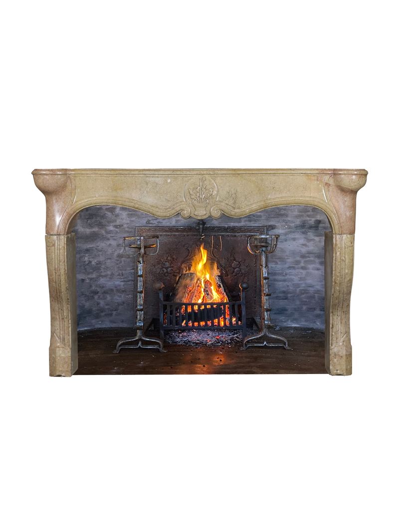 Phenomenal Limited Edition Stone Fireplace Surround