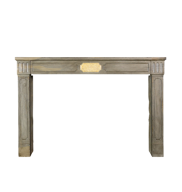 French LXVI Style Fireplace Surround