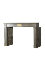 Timeless French LXVI Style Fireplace Surround