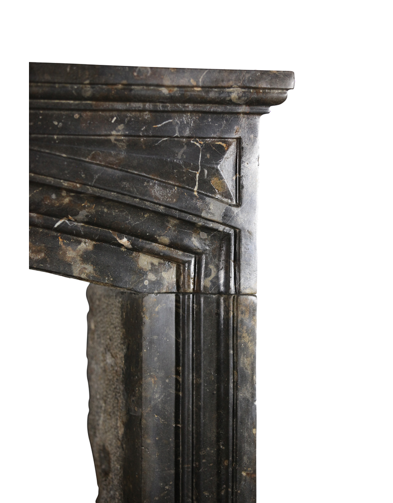 Maison Leon Van den Bogaert Henri II bleu FossilSteinkamin
