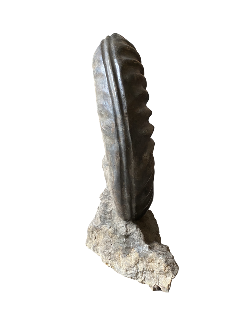 Maison Leon Van den Bogaert One of A Kind Statement Ammonite