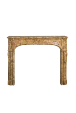 Small French Antique Statement Fireplace Surround