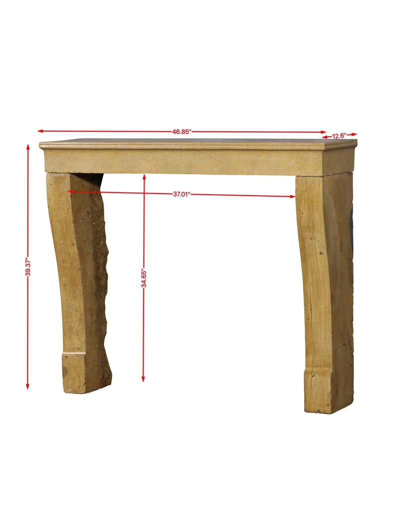 Maison Leon Van den Bogaert Petite Fireplace From Beaune