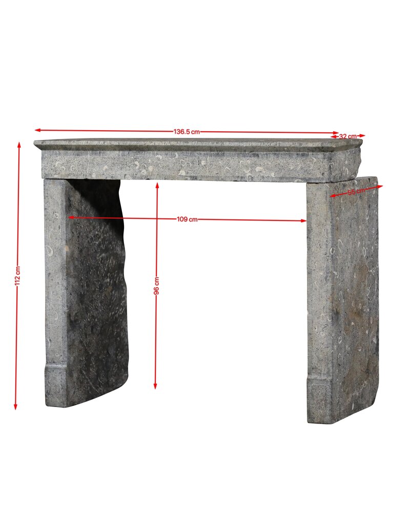 Maison Leon Van den Bogaert Markante minimalistische Kaminumrandung aus Frankreich