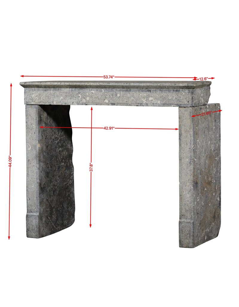 Minimal Statement Fireplace Surround From France