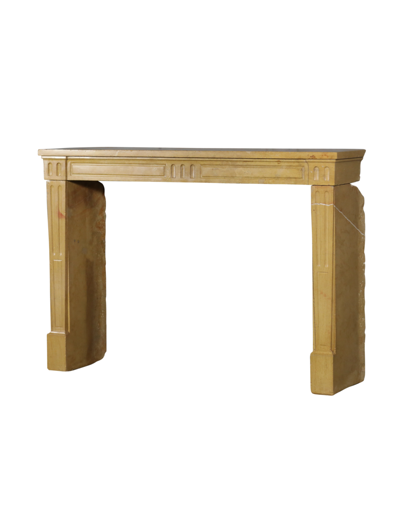 Maison Leon Van den Bogaert Louis XVI Style Honey Color Stone Fireplace