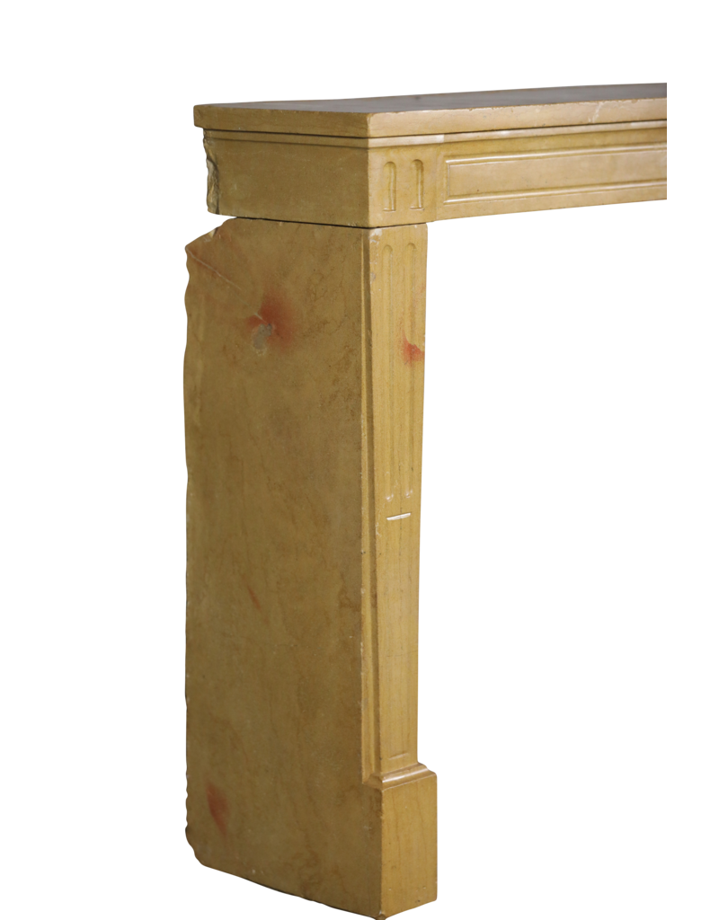 Maison Leon Van den Bogaert Louis XVI Style Honey Color Stone Fireplace