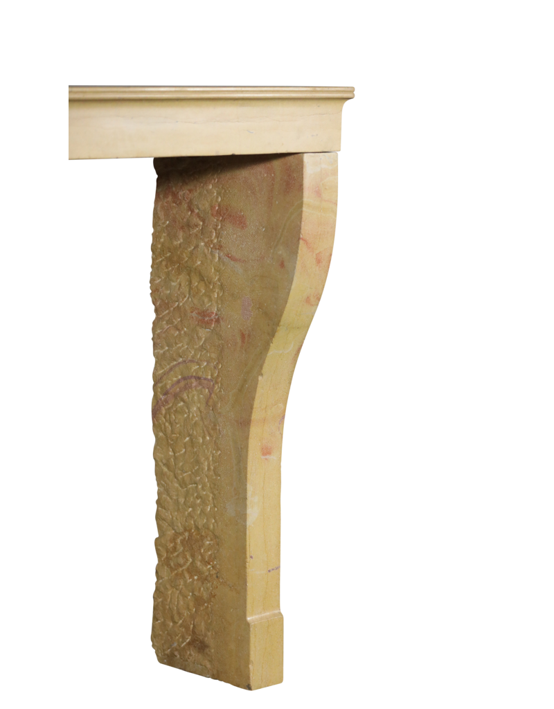 Maison Leon Van den Bogaert Elegante Chimenea De Piedra De Corton