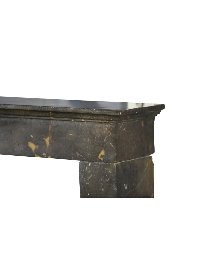 Maison Leon Van den Bogaert Beaujolais Region Fossil Stone Fireplace