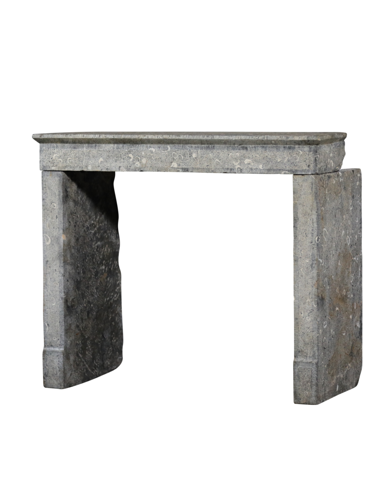 Minimal Statement Fireplace Surround From France