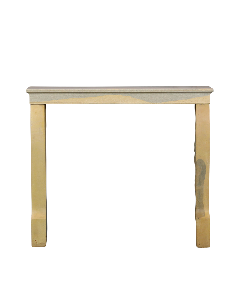 Maison Leon Van den Bogaert Elegant Bicolor French Stone Fireplace