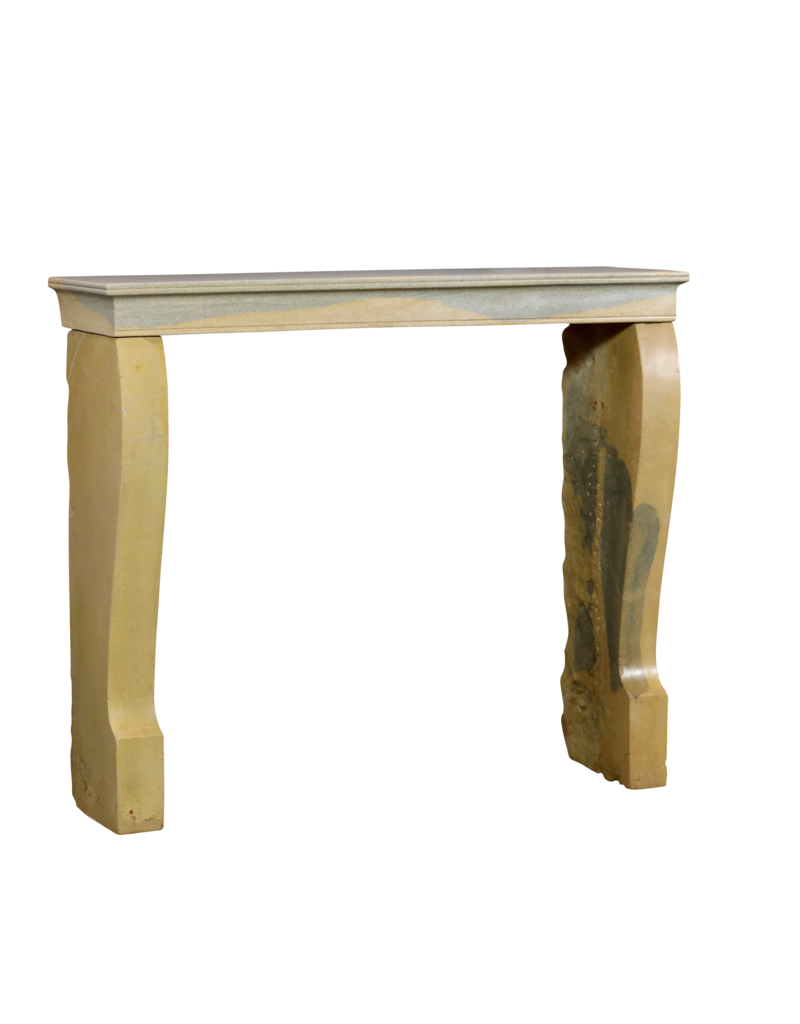 Maison Leon Van den Bogaert Elegant Bicolor French Stone Fireplace