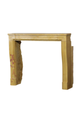 Maison Leon Van den Bogaert Timeless Louis XIV Style Fireplace