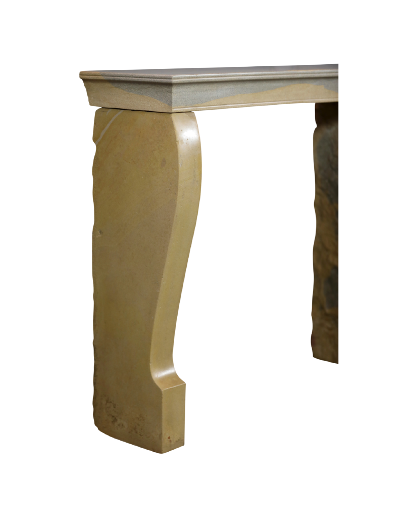 Maison Leon Van den Bogaert Elegant Bicolor French Stone Fireplace