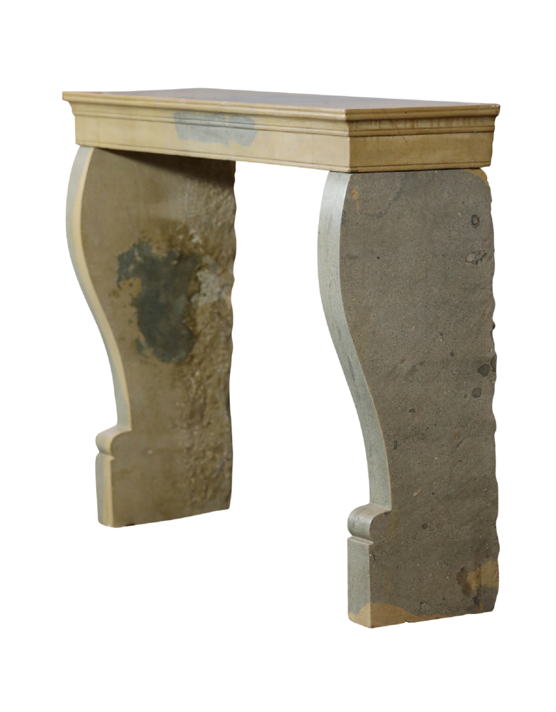 Small Burgundian Fireplace In Bicolor Stone