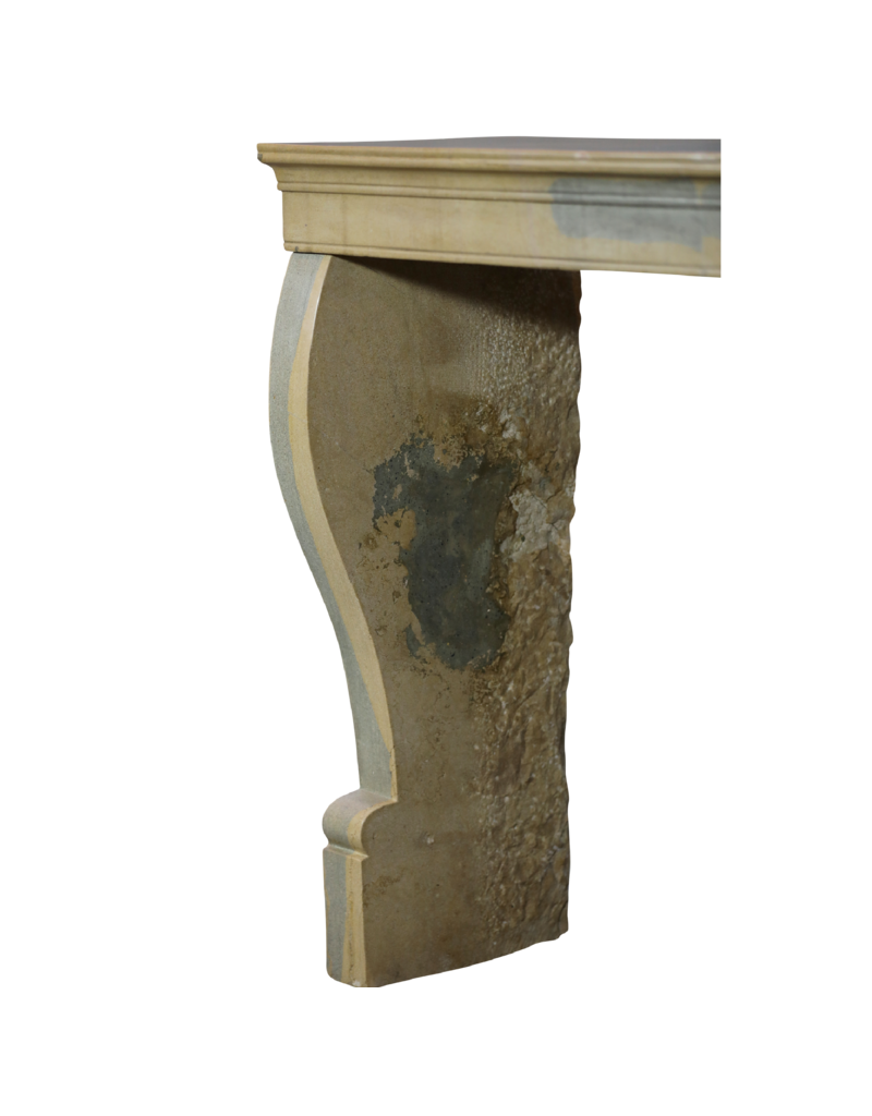 Small Burgundian Fireplace In Bicolor Stone