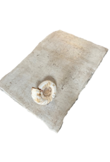 Maison Leon Van den Bogaert Mesa Travertino Beige Intemporal
