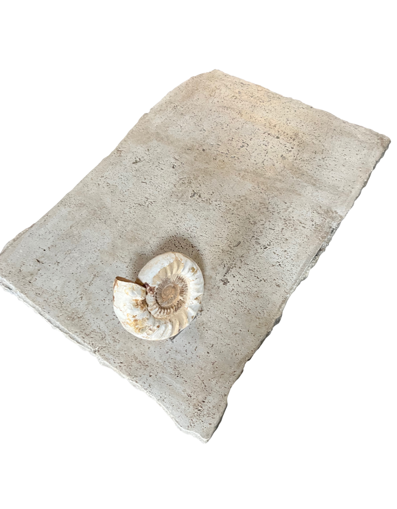 Maison Leon Van den Bogaert Mesa Travertino Beige Intemporal