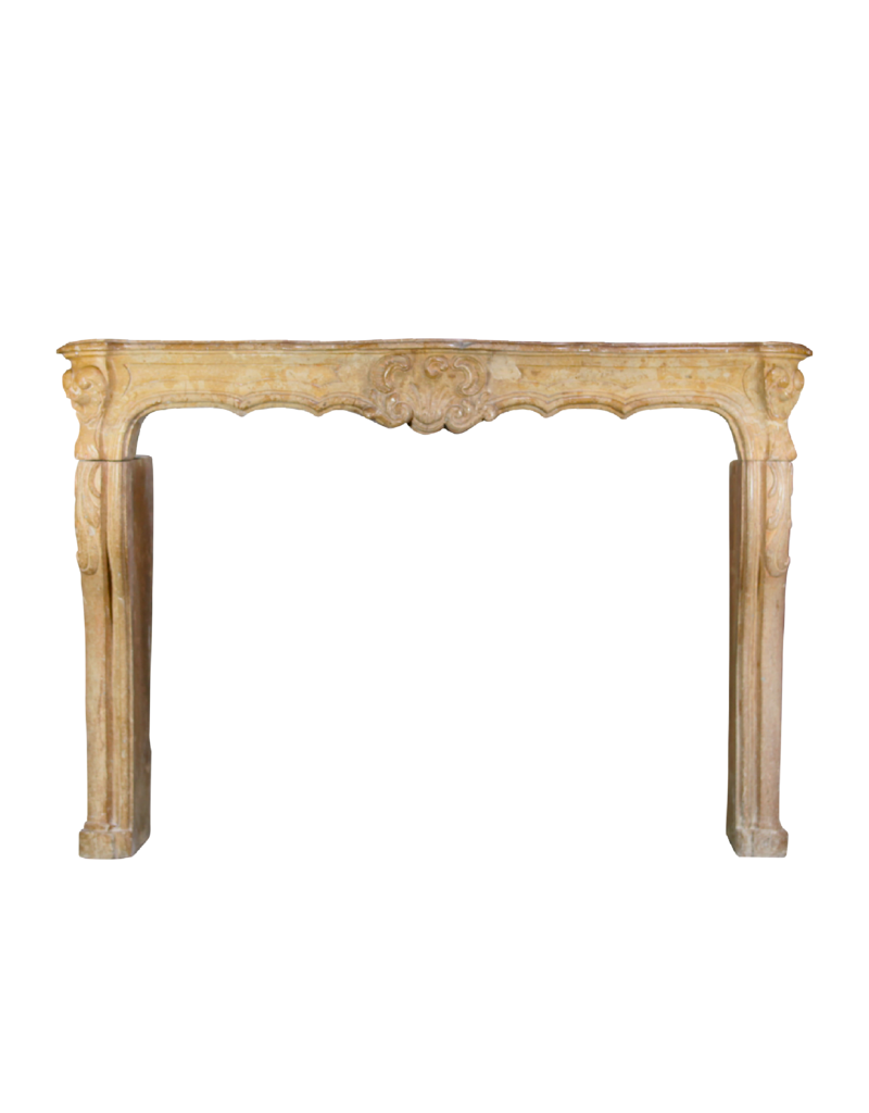 18Th Century Chique French Vintage Fireplace Surround
