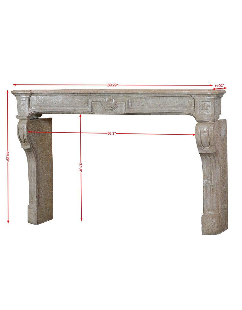 Maison Leon Van den Bogaert Cheminée vintage intemporelle avec lys français