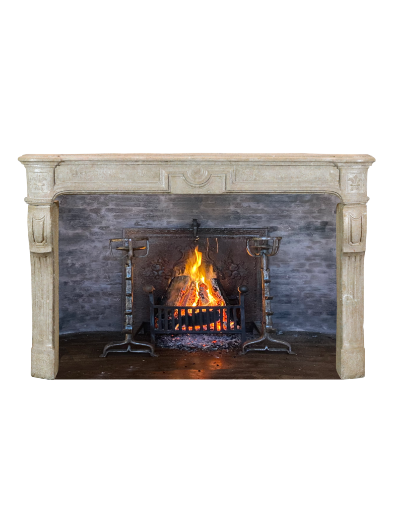 Maison Leon Van den Bogaert Cheminée vintage intemporelle avec lys français
