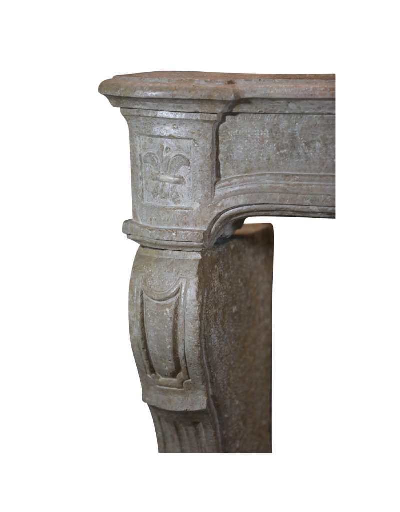 Maison Leon Van den Bogaert Chimenea vintage atemporal con lirio francés
