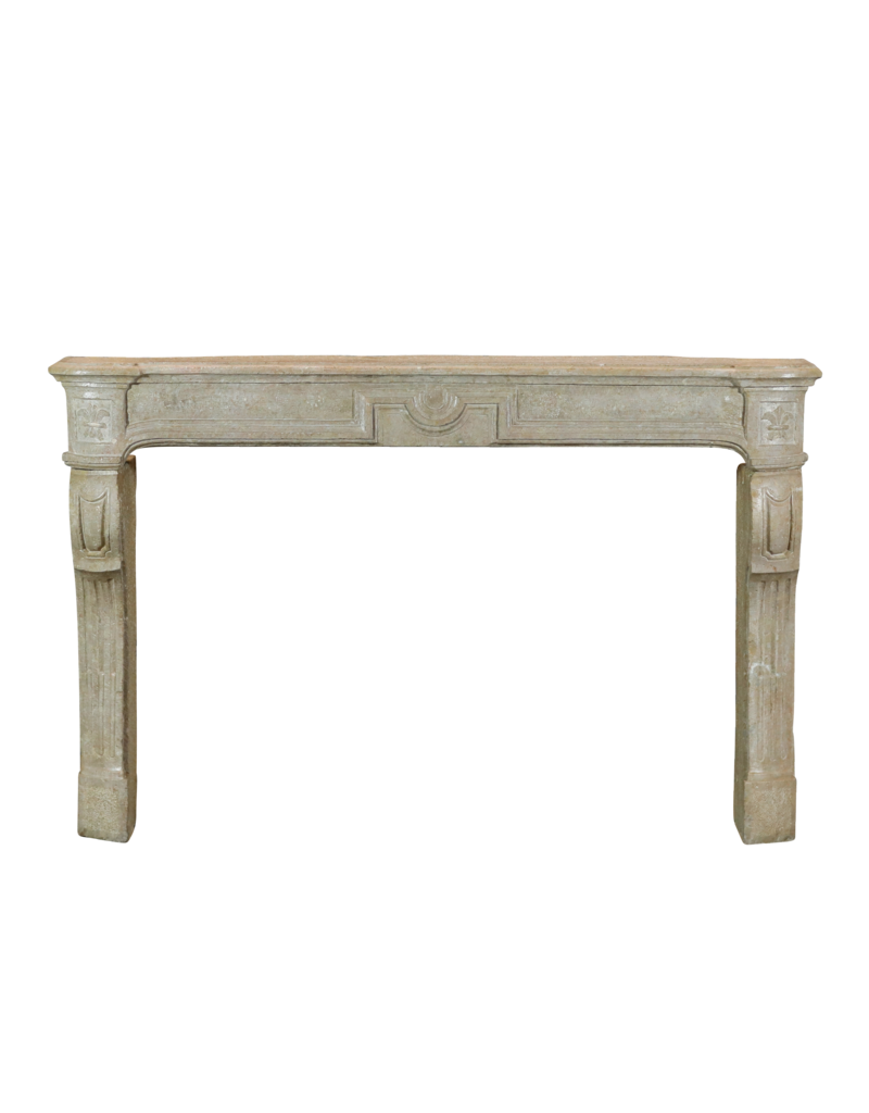 Maison Leon Van den Bogaert Cheminée vintage intemporelle avec lys français