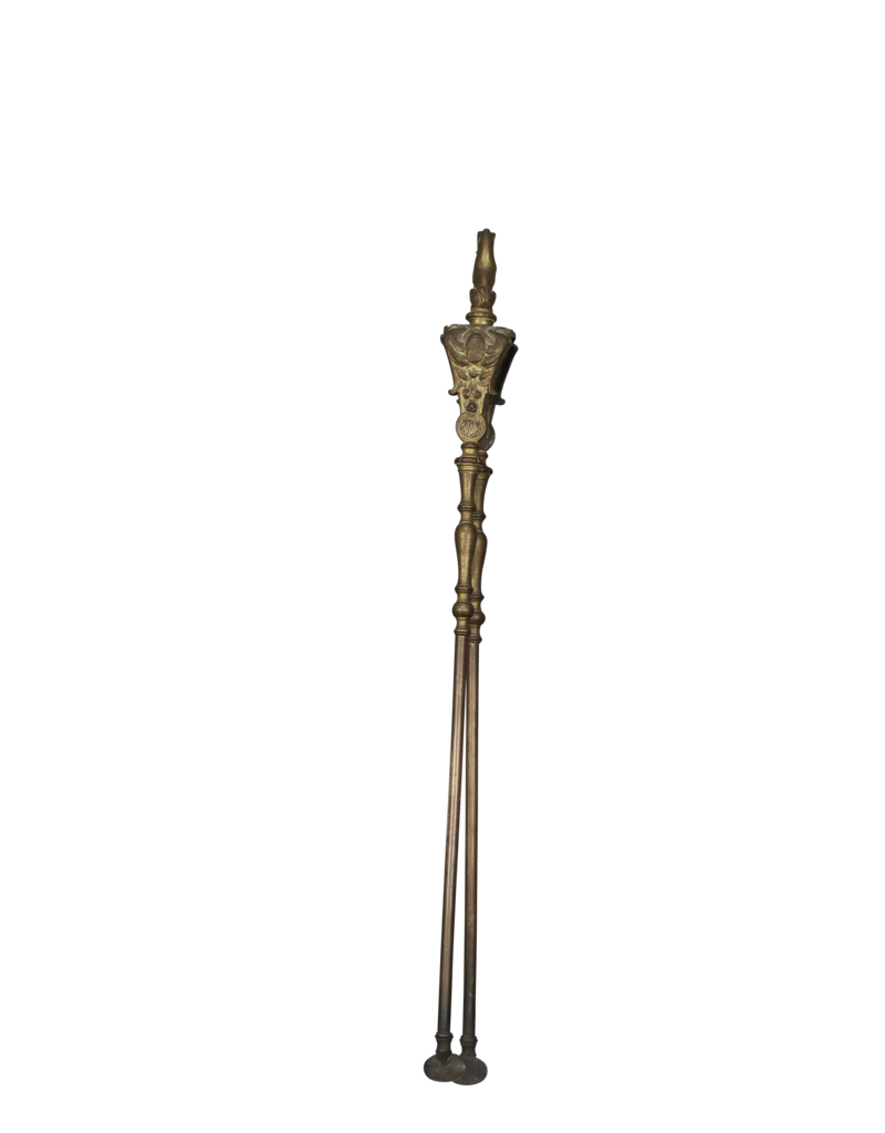 Maison Leon Van den Bogaert Pinces De Cheminée Antiques Avec Détail Panter