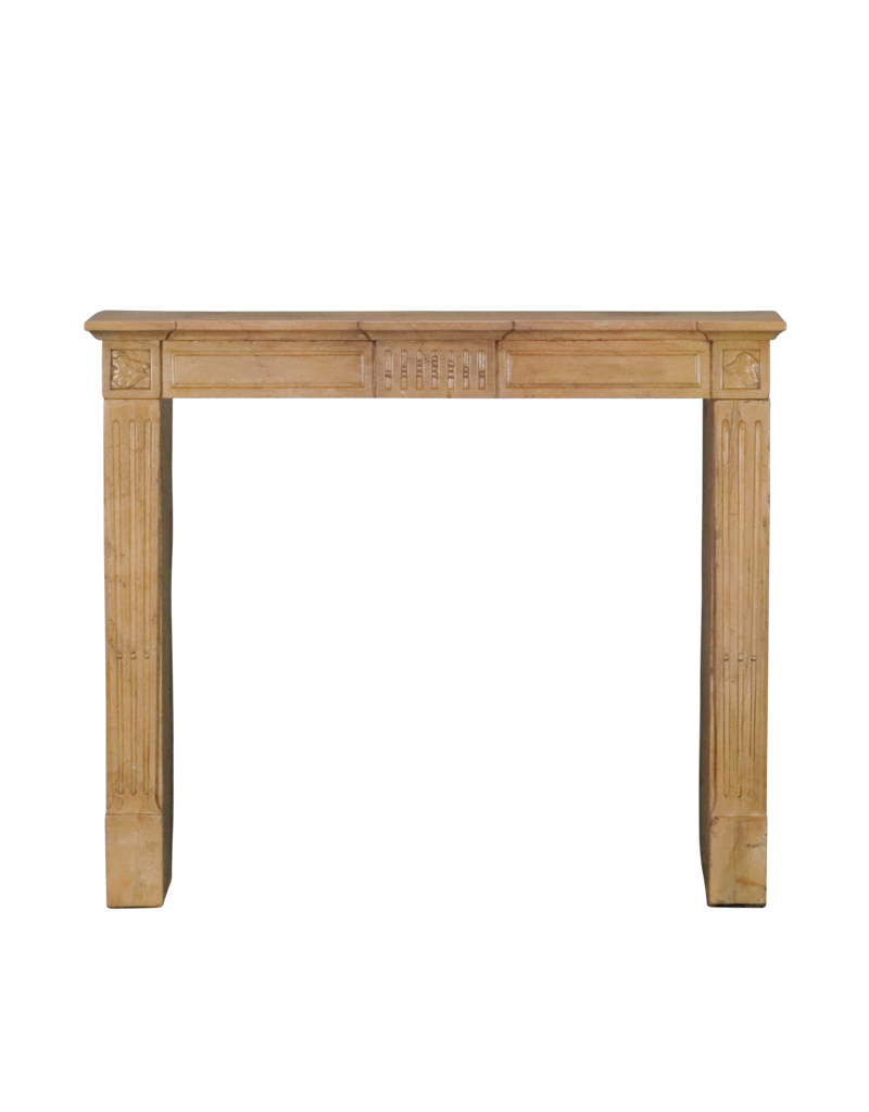 Directoire Period French Stone Fireplace Surround