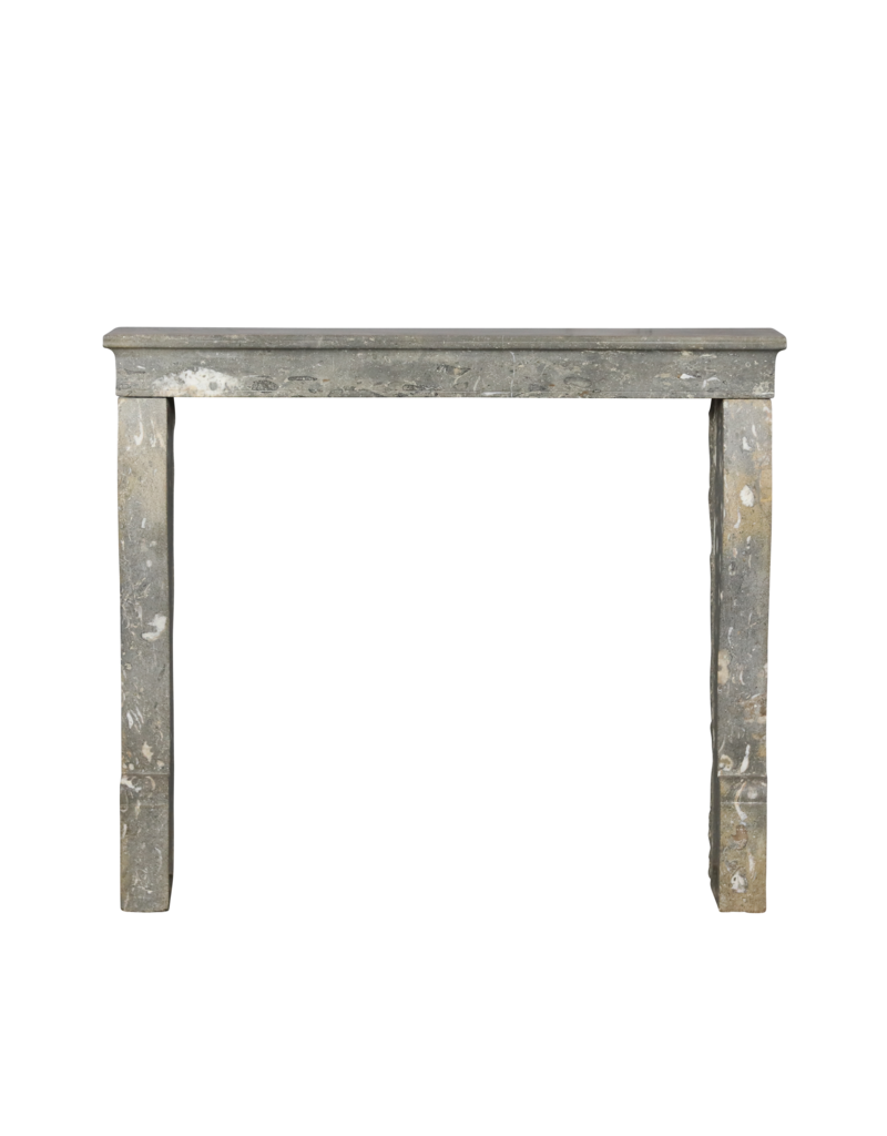 Maison Leon Van den Bogaert Vintage-Kaminumrandung