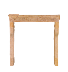 Maison Leon Van den Bogaert Mittelalterliche französische Kaminverkleidung aus der Provence