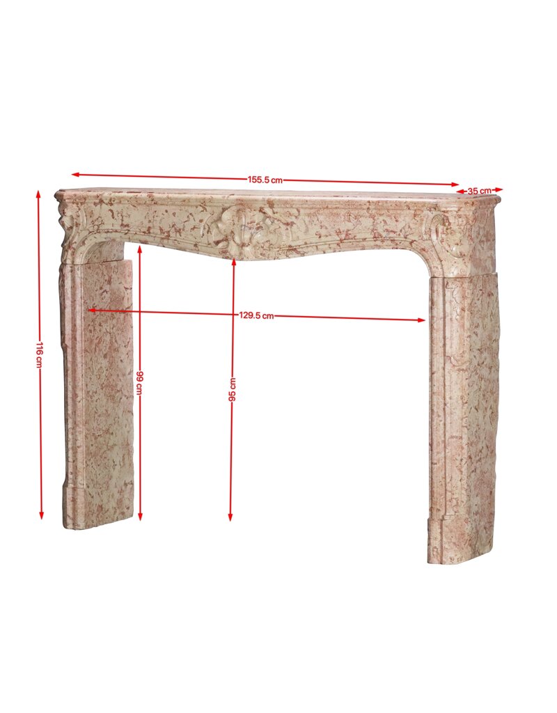 Maison Leon Van den Bogaert 155 cm breite Kaminumrandung aus einem französischen Schloss