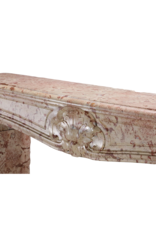 Maison Leon Van den Bogaert 155 cm breite Kaminumrandung aus einem französischen Schloss