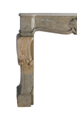 Ardèche-Kaminumrandung aus zweifarbigem Steinmarmor mit Palme