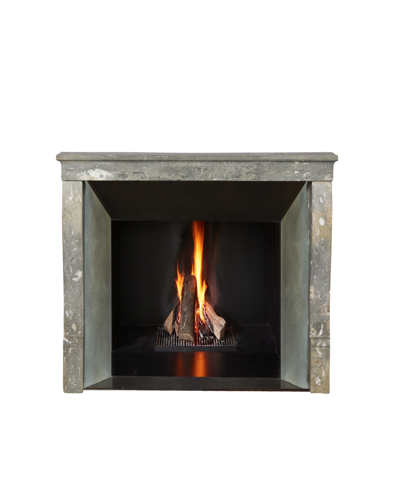 Maison Leon Van den Bogaert Vintage-Kaminumrandung