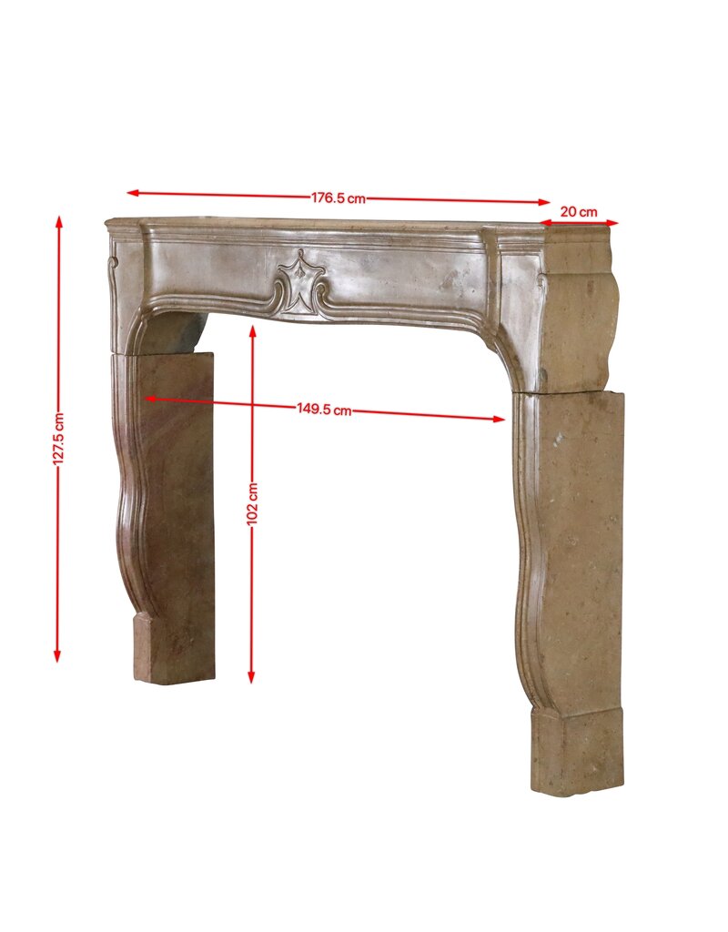 Maison Leon Van den Bogaert Château Fireplace Surround Historic Fireplace Surround