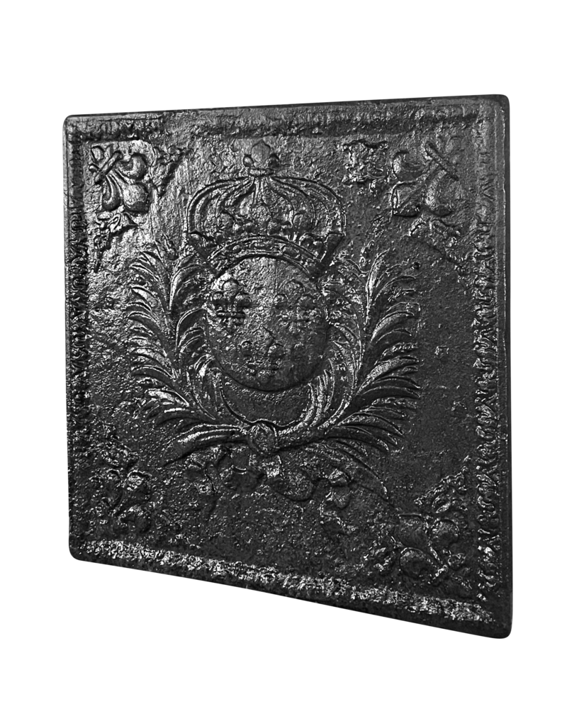 Maison Leon Van den Bogaert Placa De Chimenea Cuadrada Escudo Del Rey De Francia