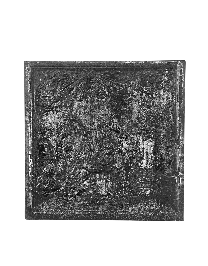 Maison Leon Van den Bogaert Französische Antiquitäten-Kaminplatten mit Patina