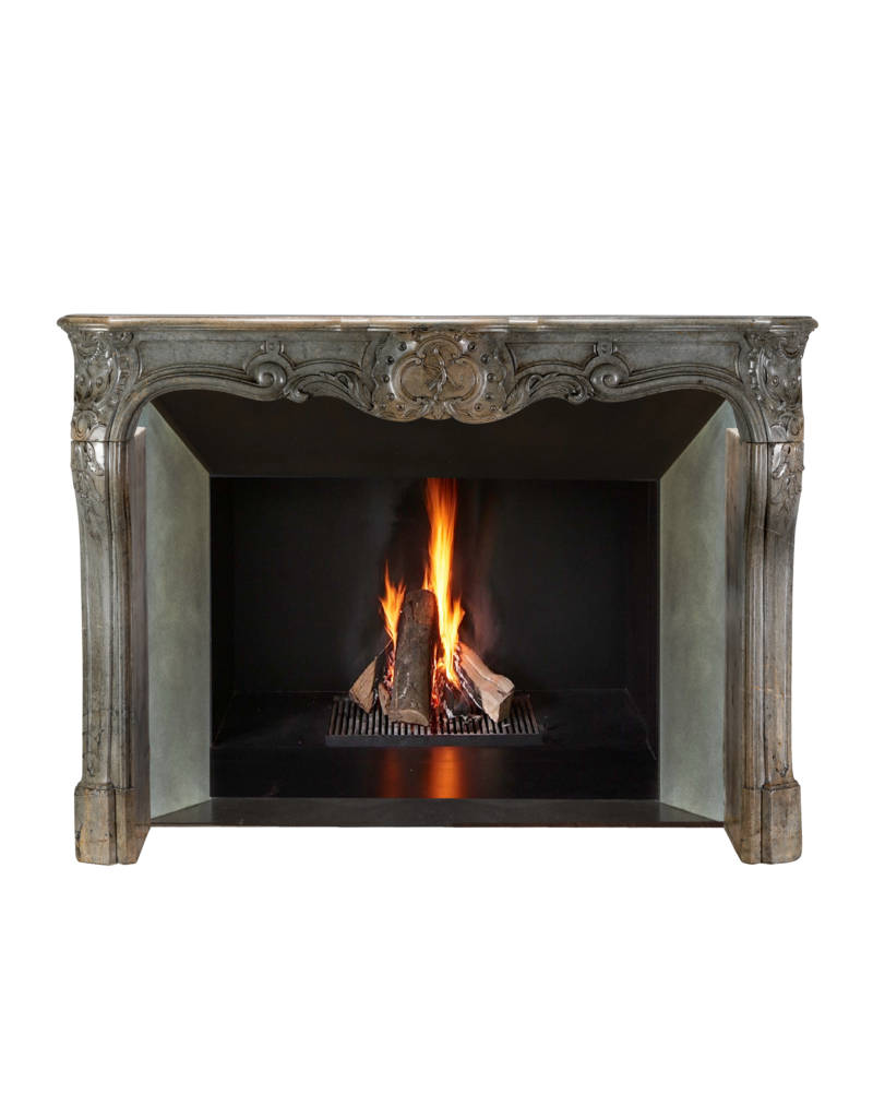 Maison Leon Van den Bogaert Forbes Antique Fireplaces Regency Quality