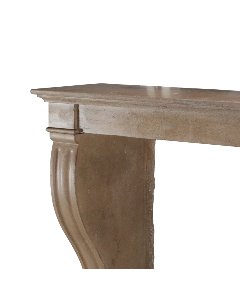 Maison Leon Van den Bogaert Antique Fireplace From France In Stone