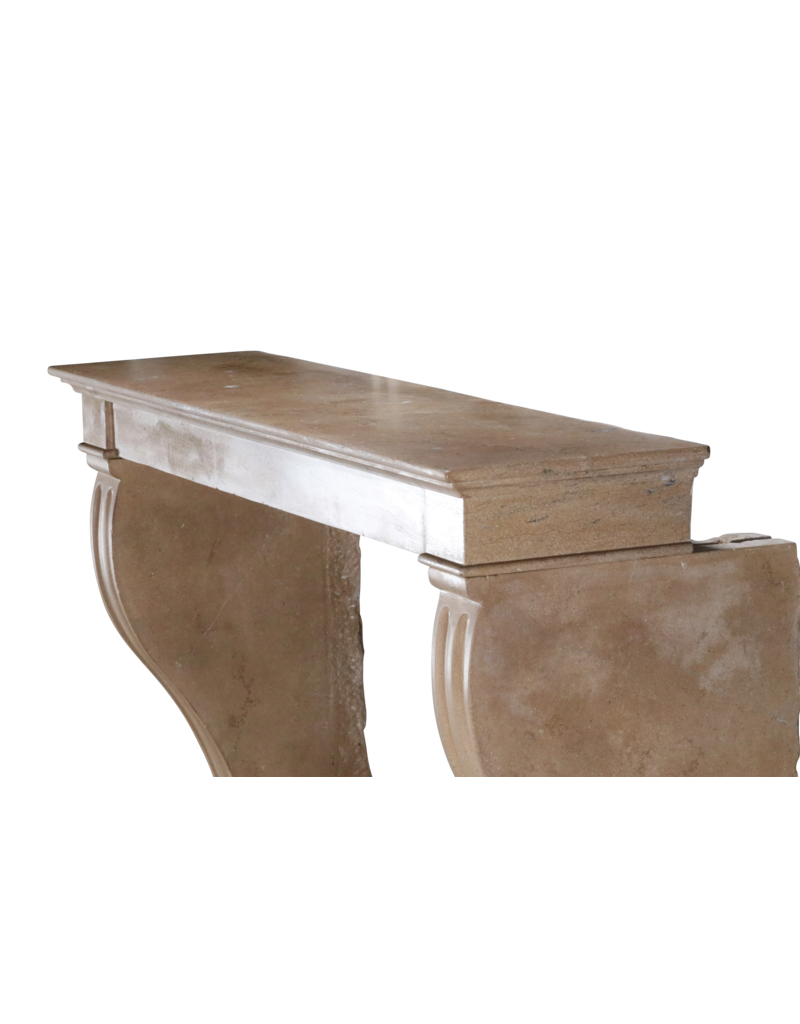 Maison Leon Van den Bogaert Antique Fireplace From France In Stone