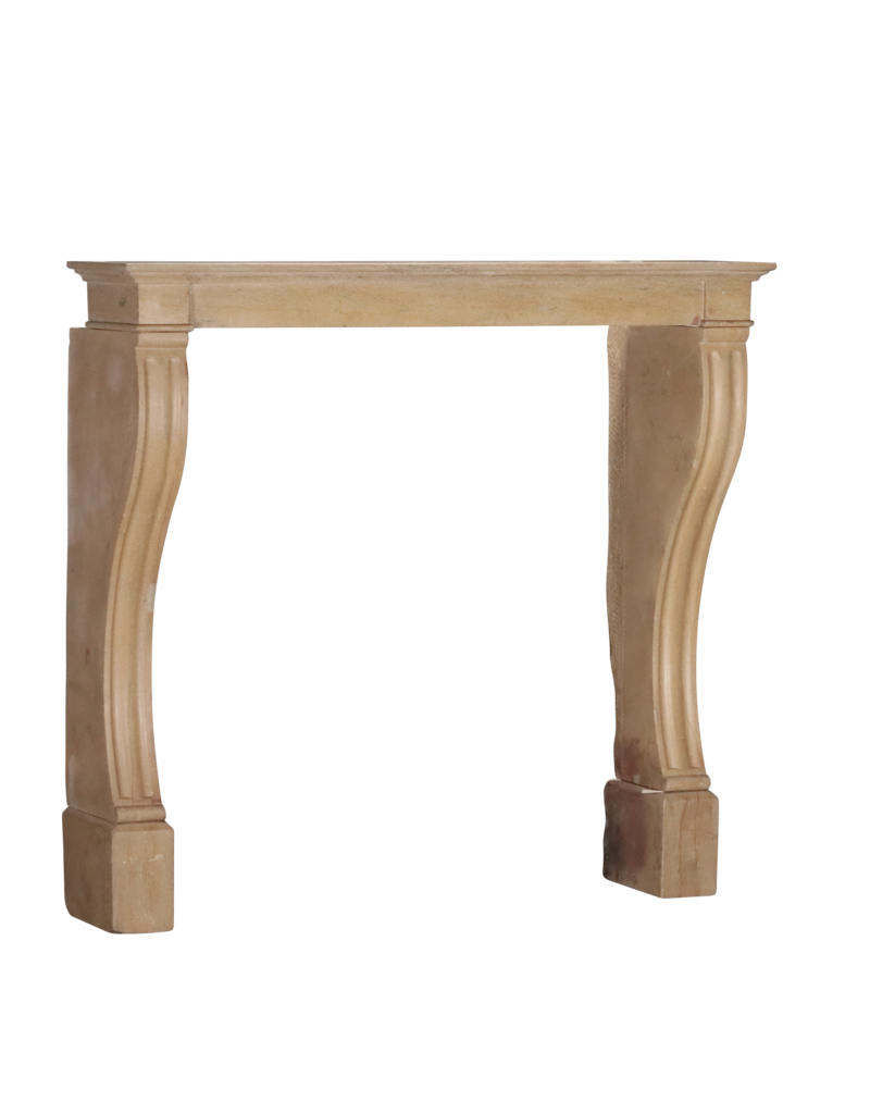 Maison Leon Van den Bogaert Antique Fireplace From France In Stone
