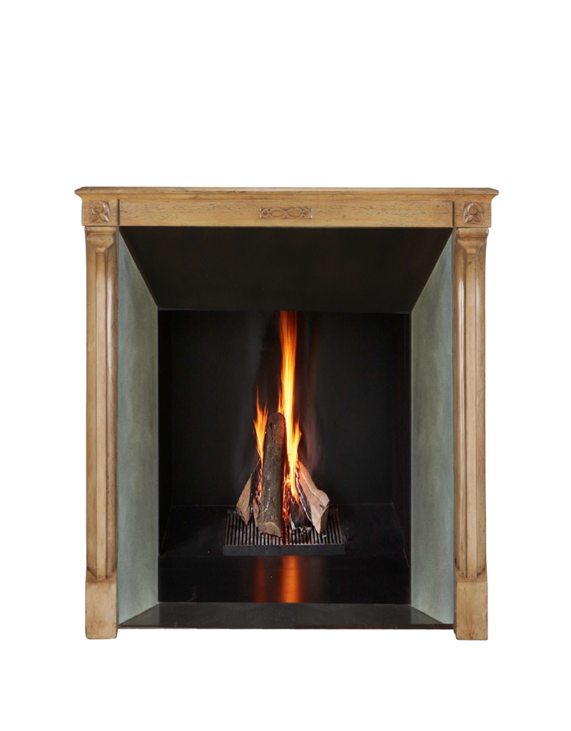 Maison Leon Van den Bogaert Antique Mantelpiece In Gothic Style