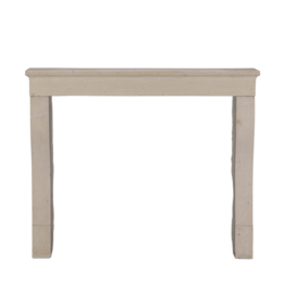 Small 19th Century Monochrome Fireplace