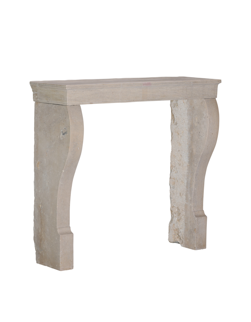 Maison Leon Van den Bogaert 19th Century Monochrome French Fireplace Surround In Stone