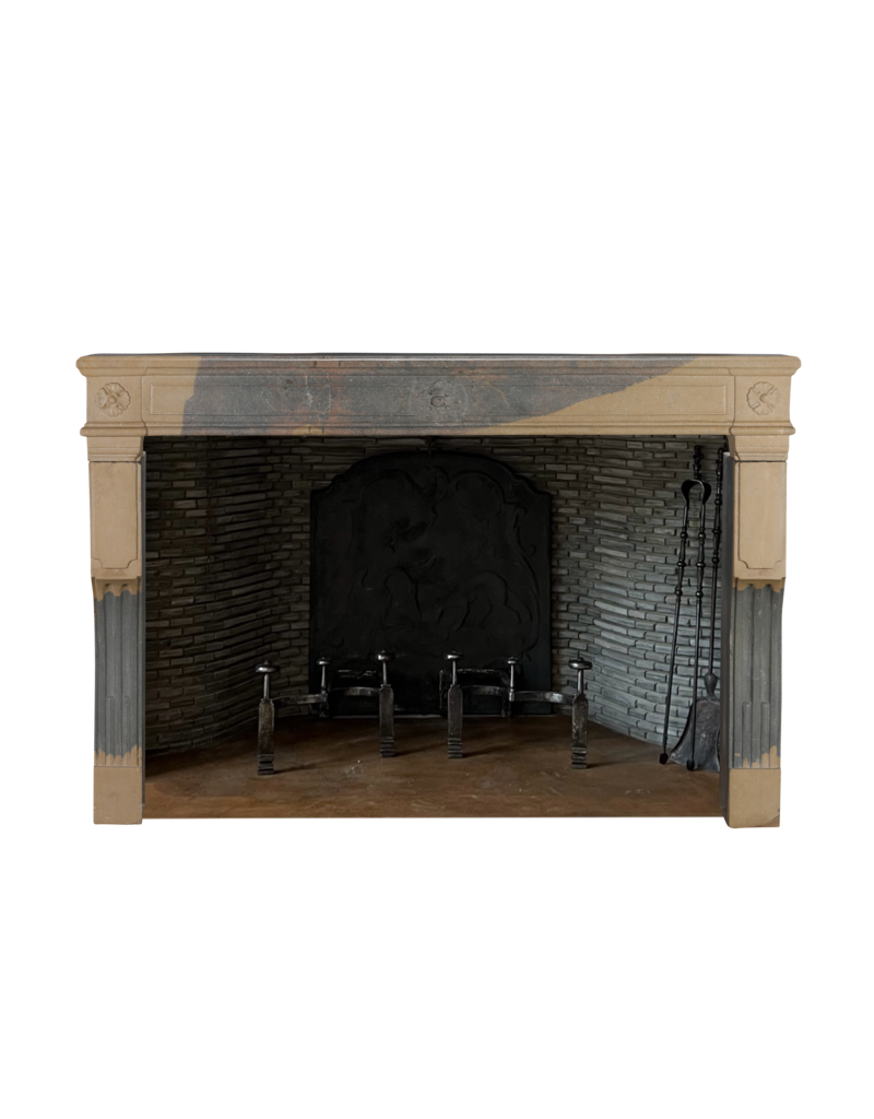 Chimenea De Piedra Francesa Antigua Del Siglo XVIII