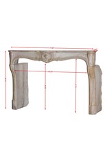 Maison Leon Van den Bogaert Antiker Französischer Dekorativer Kaminsims Aus Der Regency-Ära 18. Jahrhundert
